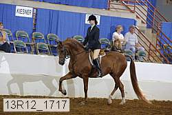 13r12_1717 proof