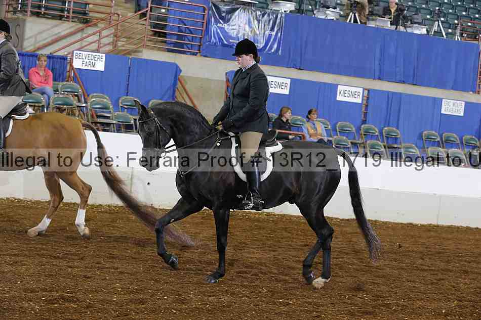 Proof 13r12_1719