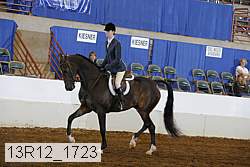 13r12_1723 proof