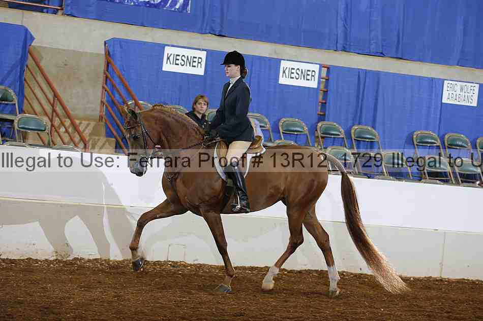 Proof 13r12_1729