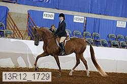 13r12_1729 proof