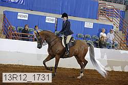 13r12_1731 proof