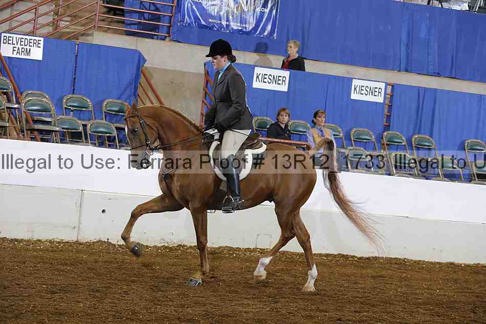 Proof 13r12_1733