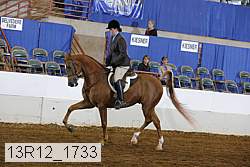 13r12_1733 proof