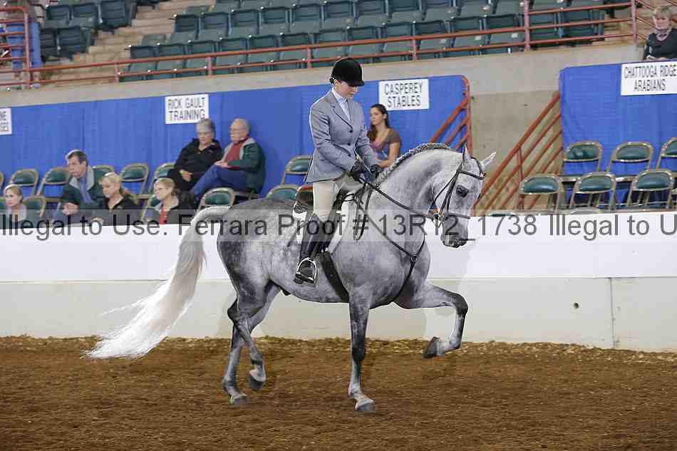 Proof 13r12_1738