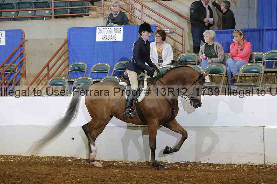 Proof 13r12_1739