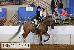 13r12_1739 proof
