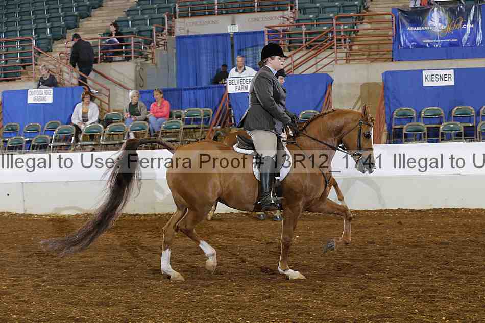Proof 13r12_1741