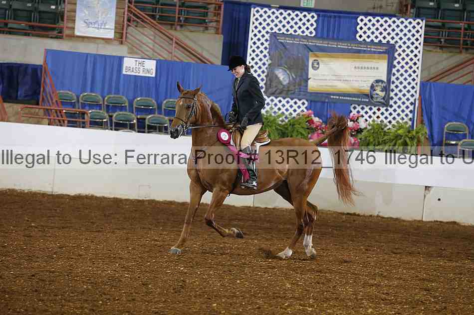 Proof 13r12_1746