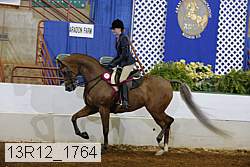 13r12_1764 proof