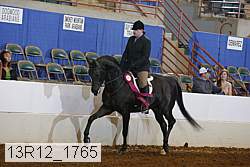 13r12_1765 proof