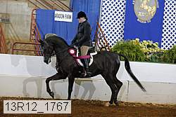 13r12_1767 proof