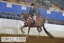 13r12_1769 proof