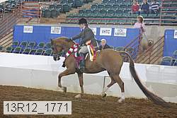 13r12_1771 proof