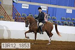 13r12_1853 proof