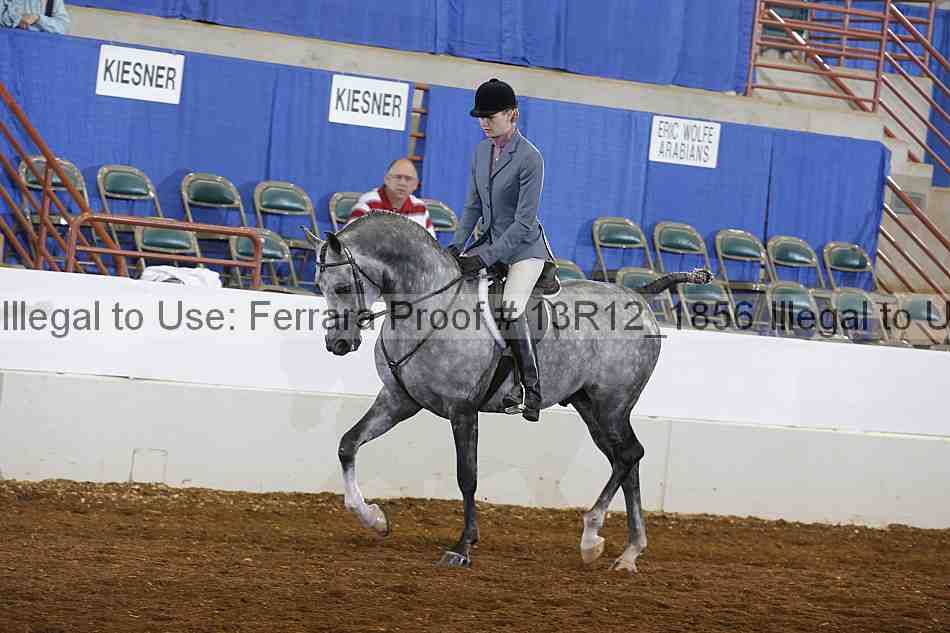 Proof 13r12_1856