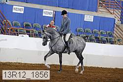 13r12_1856 proof