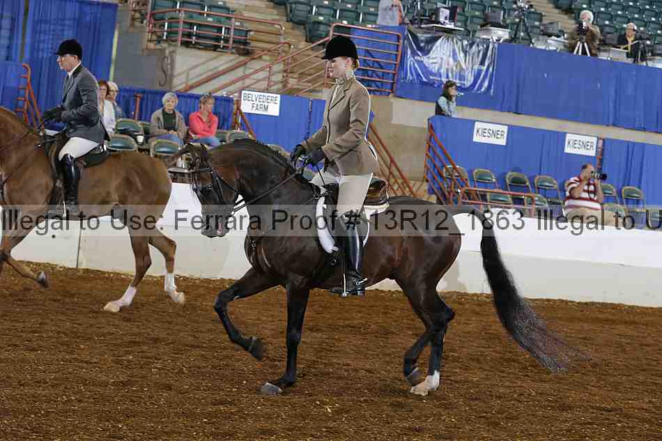 Proof 13r12_1863