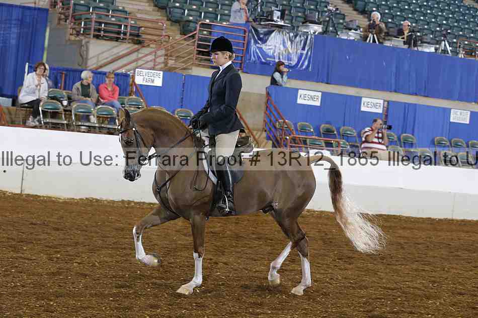 Proof 13r12_1865