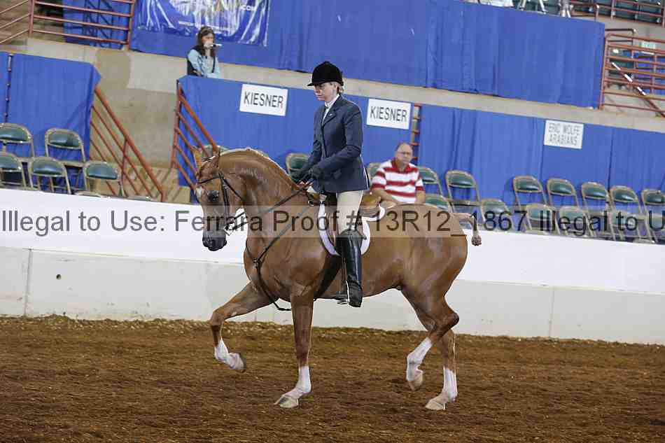 Proof 13r12_1867