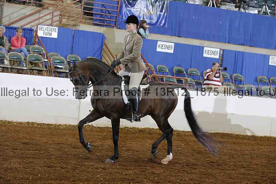 Proof 13r12_1875