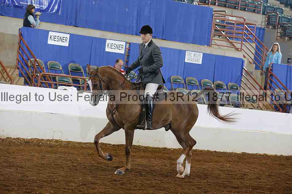 Proof 13r12_1877