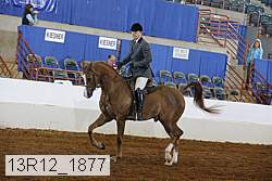 13r12_1877 proof