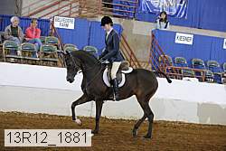 13r12_1881 proof