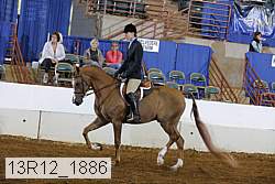13r12_1886 proof