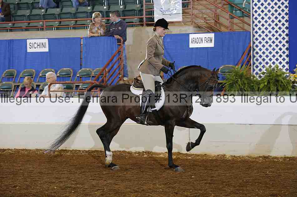 Proof 13r12_1893