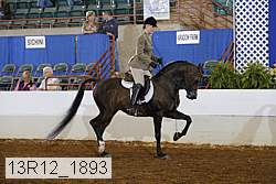 13r12_1893 proof