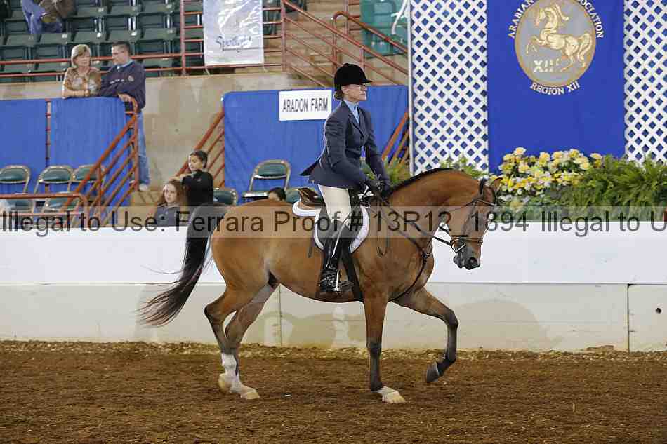 Proof 13r12_1894