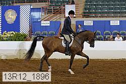 13r12_1896 proof