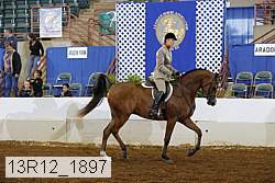 13r12_1897 proof
