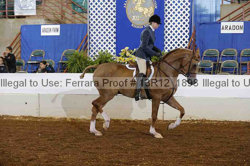Proof 13r12_1898