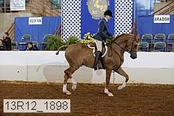 13r12_1898 proof