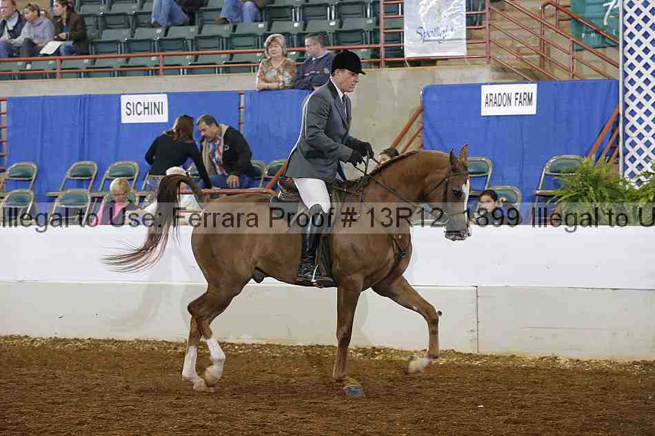 Proof 13r12_1899