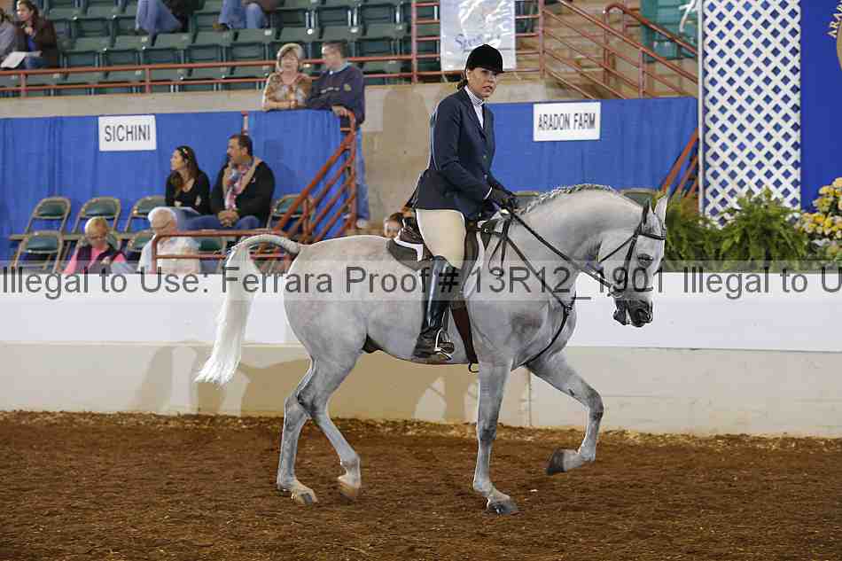Proof 13r12_1901