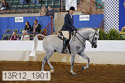 13r12_1901 proof