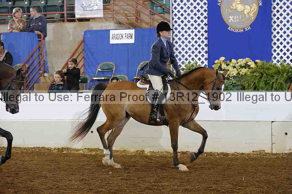 Proof 13r12_1902