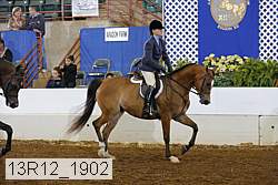 13r12_1902 proof