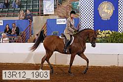 13r12_1903 proof