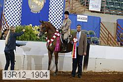 13r12_1904 proof