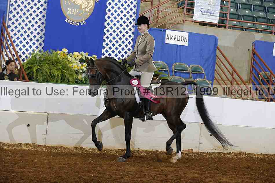 Proof 13r12_1909