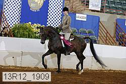 13r12_1909 proof