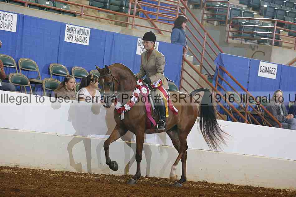 Proof 13r12_1916