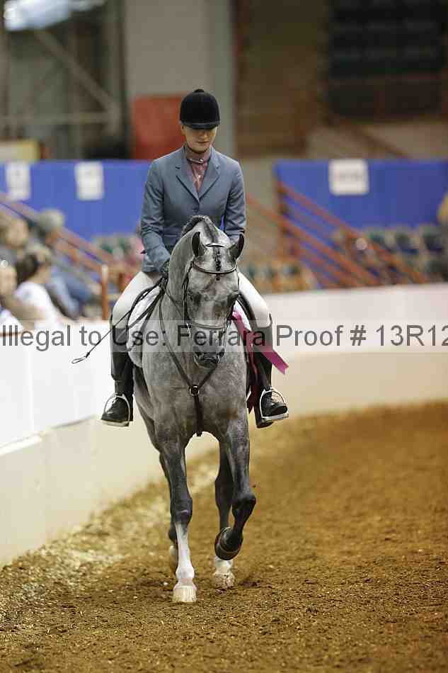 Proof 13r12_1918