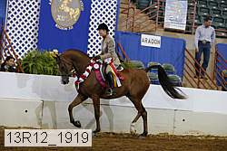 13r12_1919 proof