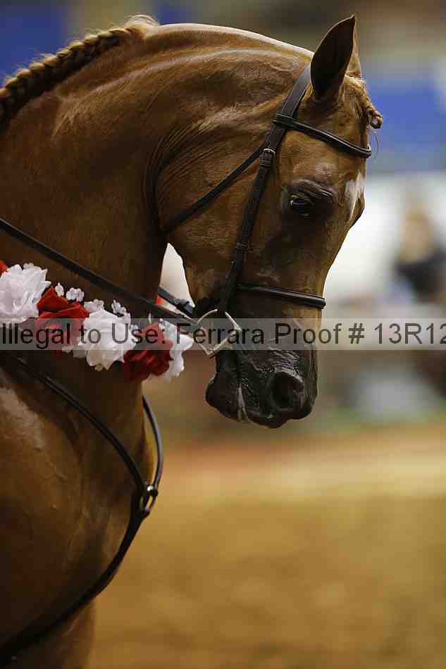 Proof 13r12_1928