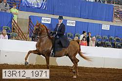 13r12_1971 proof
